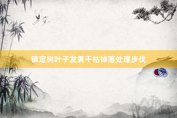 镇定树叶子发黄干枯掉落处理步伐